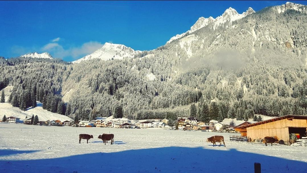 Apartmán Panoramablick Breitenwang Exteriér fotografie