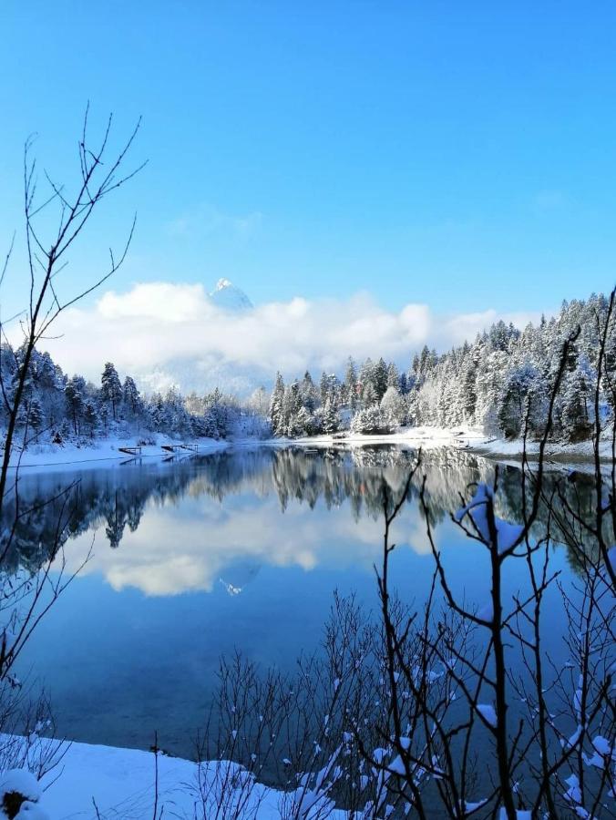Apartmán Panoramablick Breitenwang Exteriér fotografie
